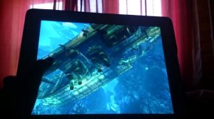 Баги и пасхалки в HUNGRY SHARK WORLD