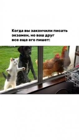 Все в сборе