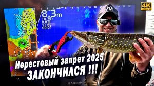 Начало трофейных рыбалок. Нерестовый запрет 2025 закончился