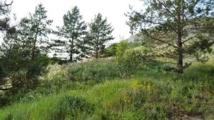 VID-20250602-WA0032.mp4