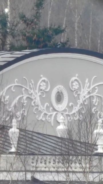 Kowa TSN-884 разогнали до 1565х с Астро-окулярами#shorts #Kowa #spotting scope