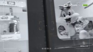 Мистер Макс Целый день в игровом центре