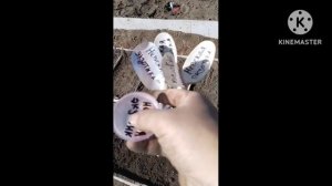 Простая посадка деток гладиолуса