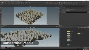 E-03_variants_orientation