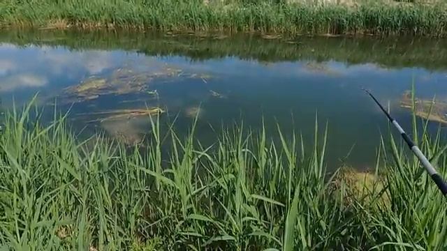 Простая рыбалка — простое счастье