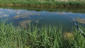 Простая рыбалка — простое счастье