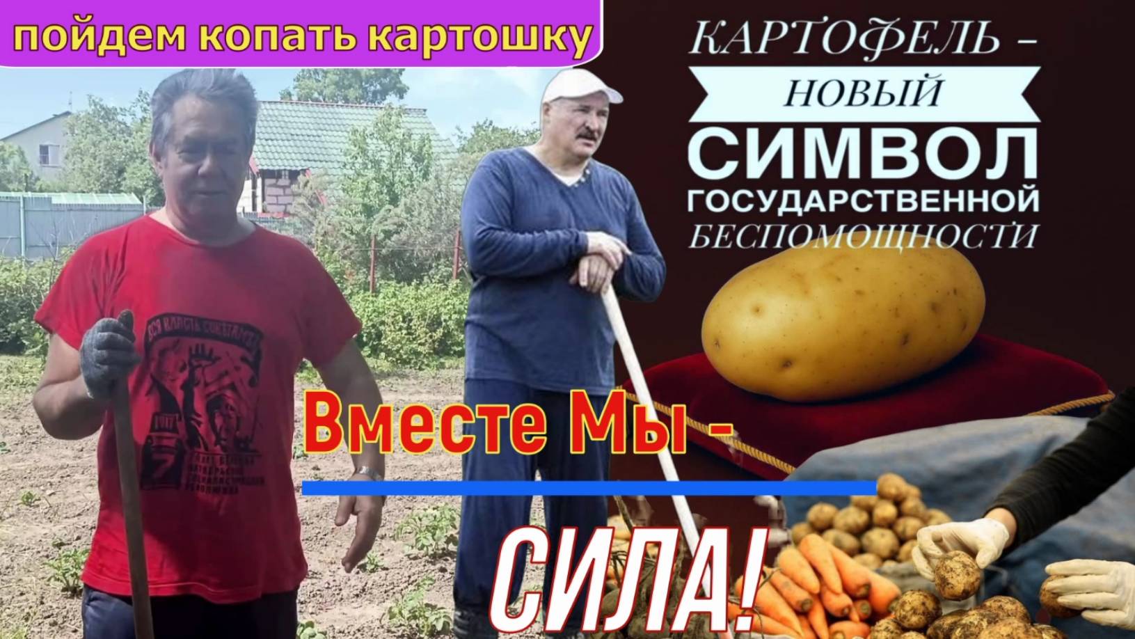 Рекомендуют картофельные "МАГНАТЫ" - ПЛАТОШКИН & ЛУКАШЕНКО _Доцент Морковкин рассуждает....
