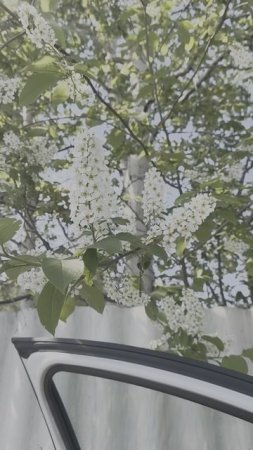 Сургут