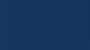 Не менее 36 человек погибли в Индии