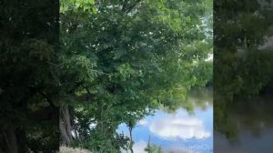 WhatsApp Video 2025-06-02 at 23.58.59