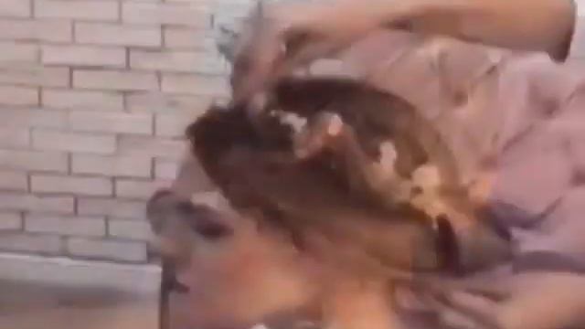 Прическа с цветами смотреть онлайн