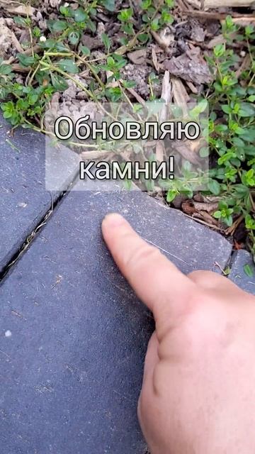 Он будет как новенький! Клинкерный кирпич после затир? смотреть онлайн