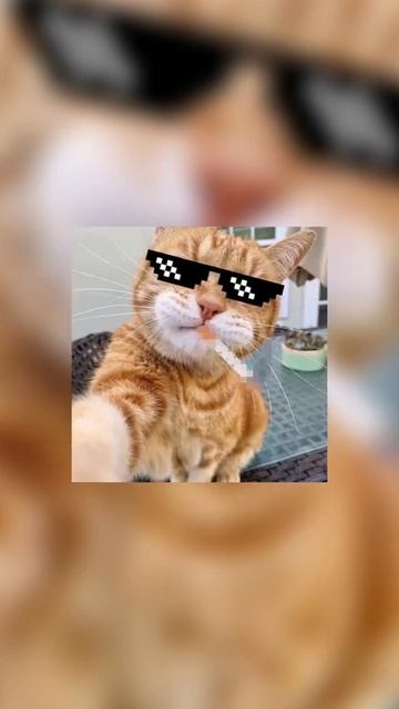 Больше аватарок в телеге, ссылка в описании канала #ав смотреть онлайн