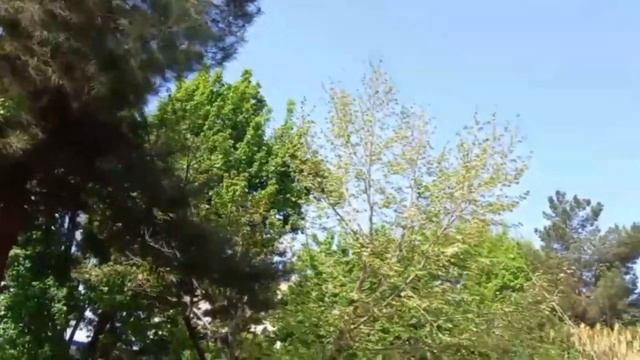 Алмазная мозаика, бисерный набор и крестики смотреть онлайн