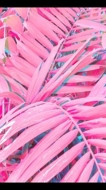 Эстетичные обои на телефон. Версия: розовый смотреть онлайн