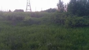 Экологичный выбор: почему общественный транспорт лучше для окружающей среды Автогений