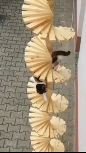 Лестница в небо..) #shorts смотреть онлайн