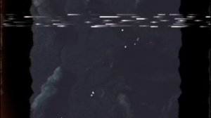 Фонковый крысолов своей низкочастотной дудкой топит крыс в море! #топыкатегорий