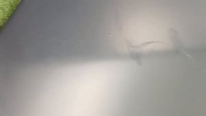 7827860