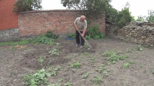 ВЕТЕР НЕ УТИХАЕТ!!ПЕРЕДАЮТ ДОЖДИ!!УПАХАЛСЯ В ОГОРОДЕ!!!СРОЧНАЯ ПРОПОЛКА!!