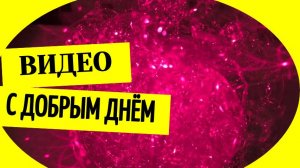 Видео с добрым днем