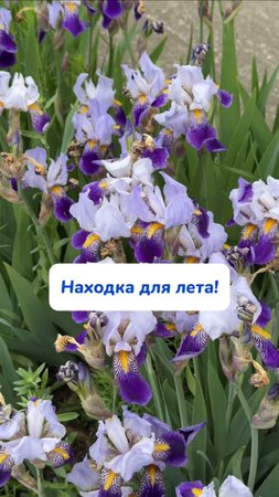 Артикул на энзимный карандаш 
WB #252199066
Ozon #1663832082 ваш помощник от пятен!🫧🧼