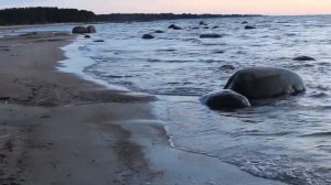 Прогулка на залив