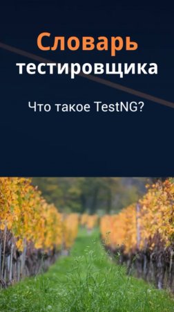 Словарь тестировщика. Что такое TestNG?