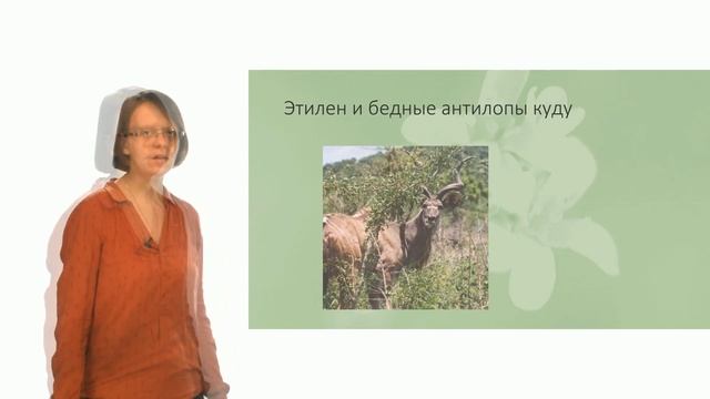 Физиология растений. Гормоны растений. Часть 4 (Лабунская Е. А.) смотреть онлайн