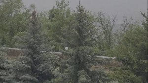 Туман в горах