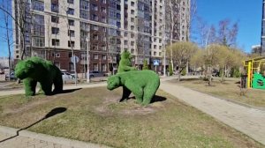 Зеленые краски весны