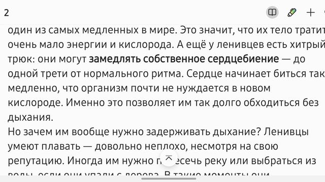 Ленивец vs дельфин: кто чемпион по задержке дыхания. Факт за фактом