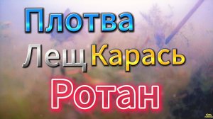 РЫБИЙ МИР