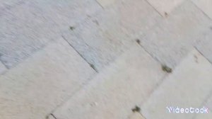 Один день похождений в городе | Канцлер, и другие приключения. | Алёнка Сластёнка.