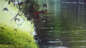 рЫма чек -- сожитель ее сосед .Под названием  как бы ,, МУЖ ,,