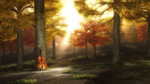 Шопен - слушать ноктюрны, этюды и созерцать лес для релаксации, отдыха или быстрого засыпания, сна