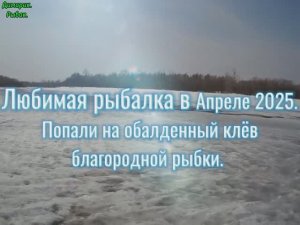 Рыбалка в Апреле 2025.
Попали на обалденный
 клёв Хариуса и Ленка.
