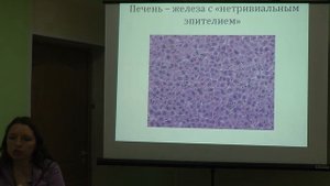 5.11.13 Гистология - Ганчарова О.С.