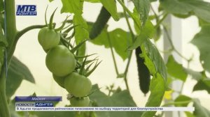 Информационный выпуск Майкопского телевидения 30.05.2025г.