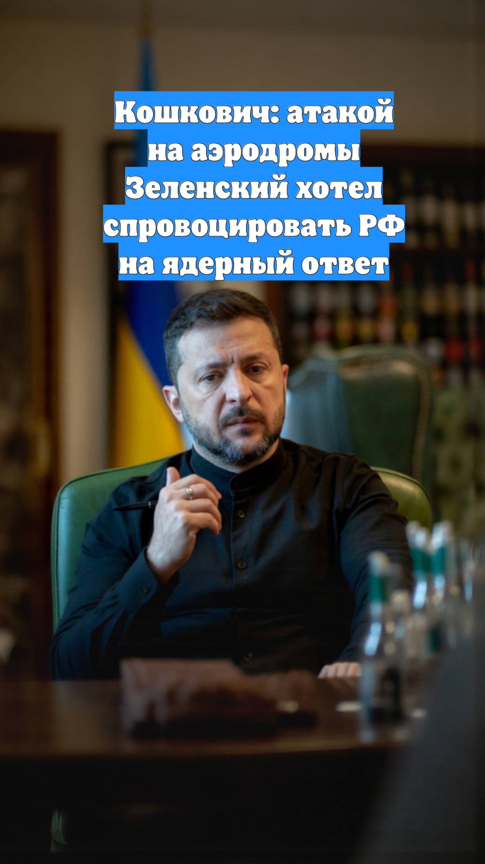 Кошкович: атакой на аэродромы Зеленский хотел спровоцировать РФ на ядерный ответ
