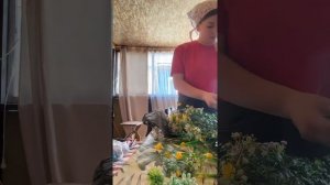 Зелёная стена #уралочка #деревенскаяжизнь #своимируками