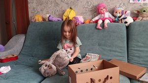 кот Basic