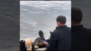 ❗️Сначала мужчины говорят, что у них нет депрессии, а потом кормят нутрий.