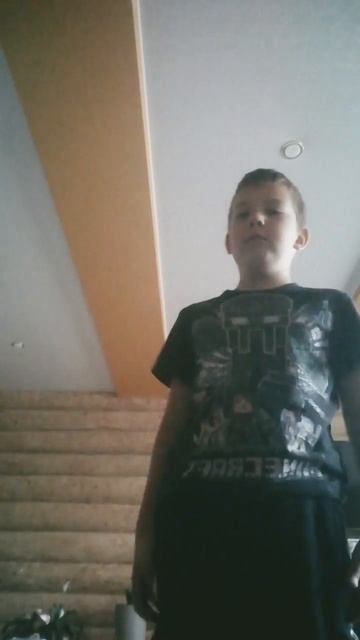 собаки и суп обои смотреть онлайн