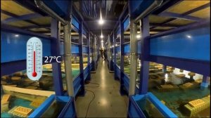 Строительство арочного бескаркасного ангара ГК "Ангар 36" 8-800-100-29-43
