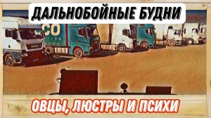 Дальнобойные будни / Процент дебилов / дальнобой в Итеко
