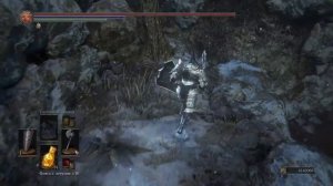 DARK SOULS™ III_Кусок титанита нпс ворон