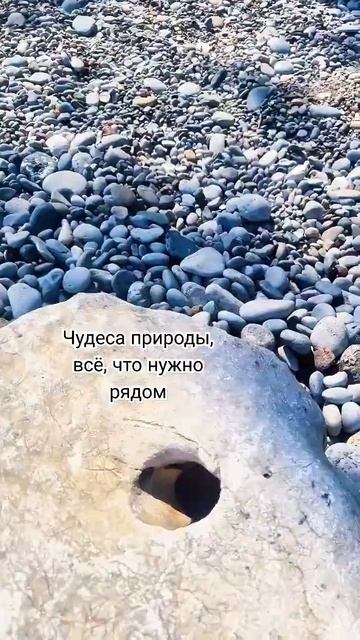 Подарки природы, подставка под зонт, находка#природа#к смотреть онлайн