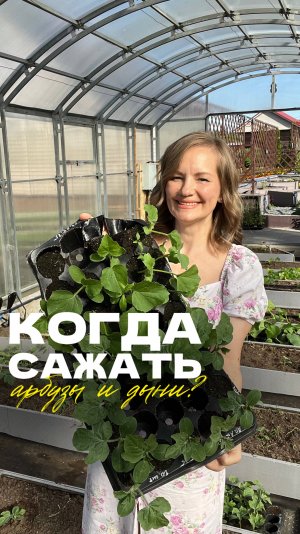 🍉 Когда и как высаживать рассаду арбузов и дынь?