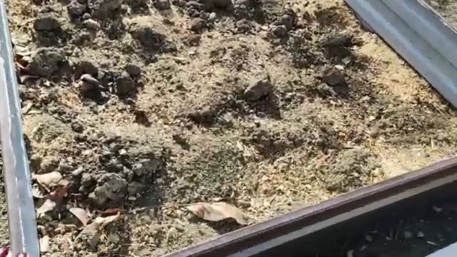 Как я избавилась от травы на дорожках и грядках. Больше не полю и не рыхлю. Как меньше работать.
